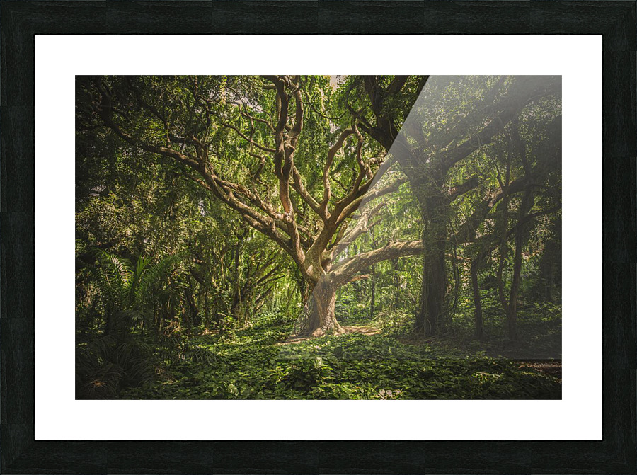 f20 Picture Frame print