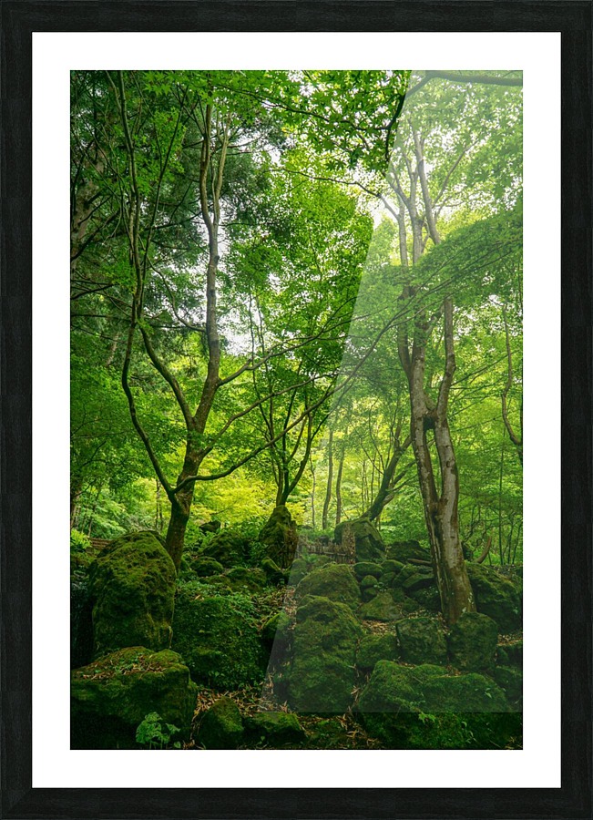 f11 Picture Frame print