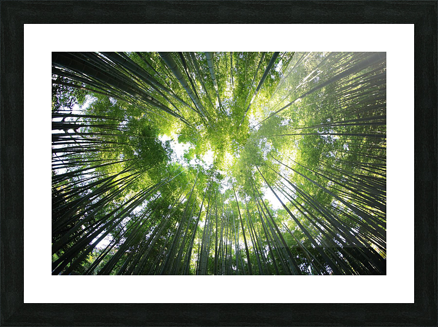 f23 Picture Frame print