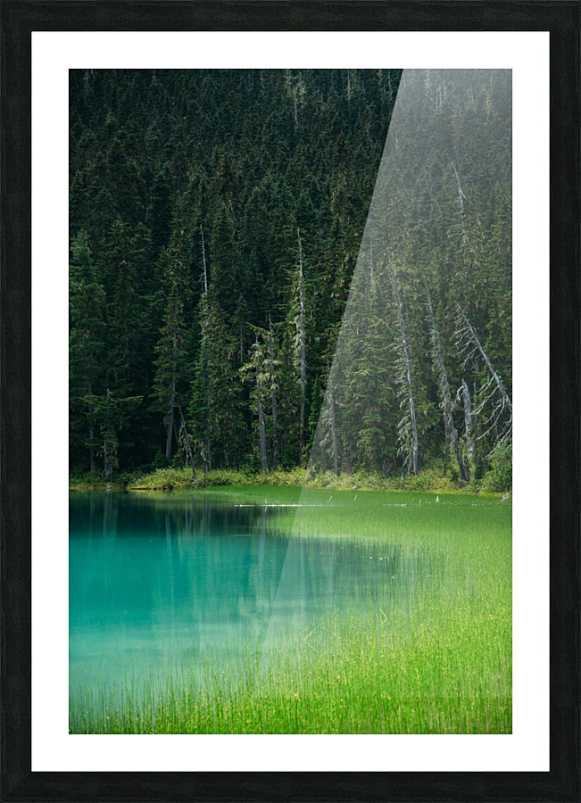 f10 Picture Frame print