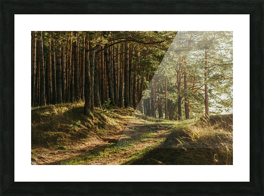 f18 Picture Frame print