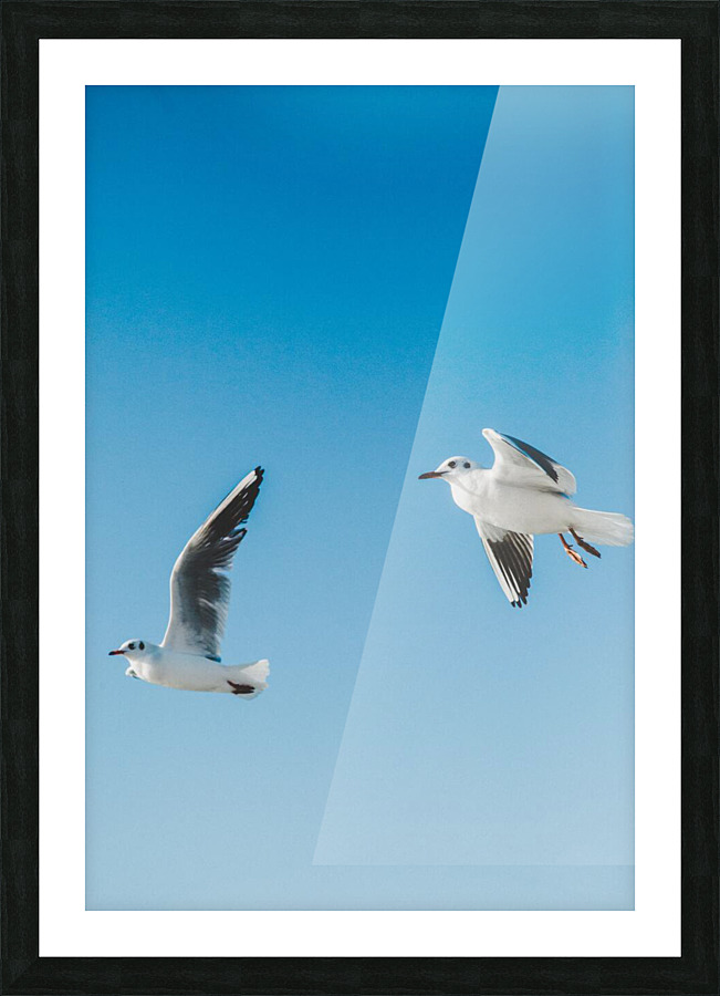 Birds fly high Picture Frame print