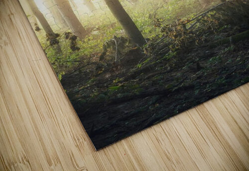 f19 Reg Bender puzzle