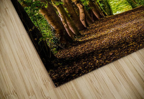f21 Reg Bender puzzle