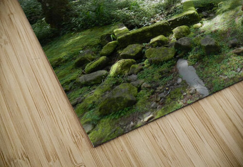 f3 Reg Bender puzzle