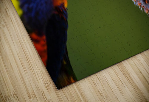 Birds are creative Reg Bender puzzle