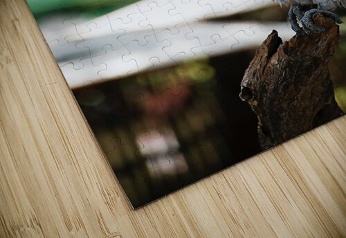 Birds at rest Reg Bender puzzle