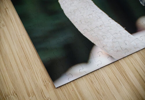 Birds are white Reg Bender puzzle