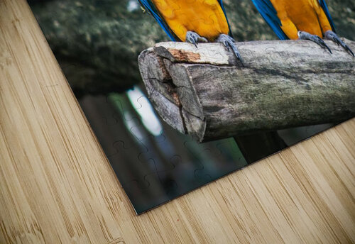Birds are three Reg Bender puzzle