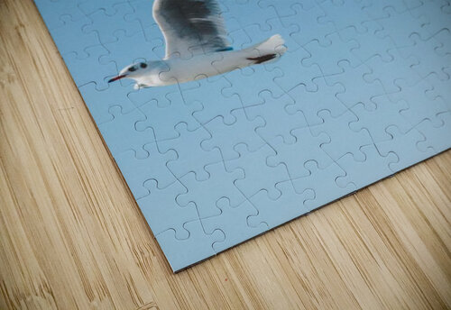 Birds fly high Reg Bender puzzle