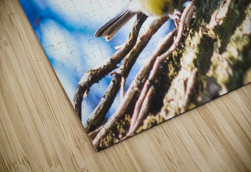 Birds create things Reg Bender puzzle