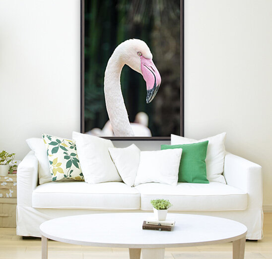 Birds are white Reproduction