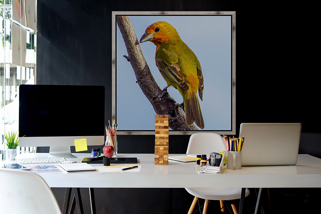 Birds peck things Reproduction