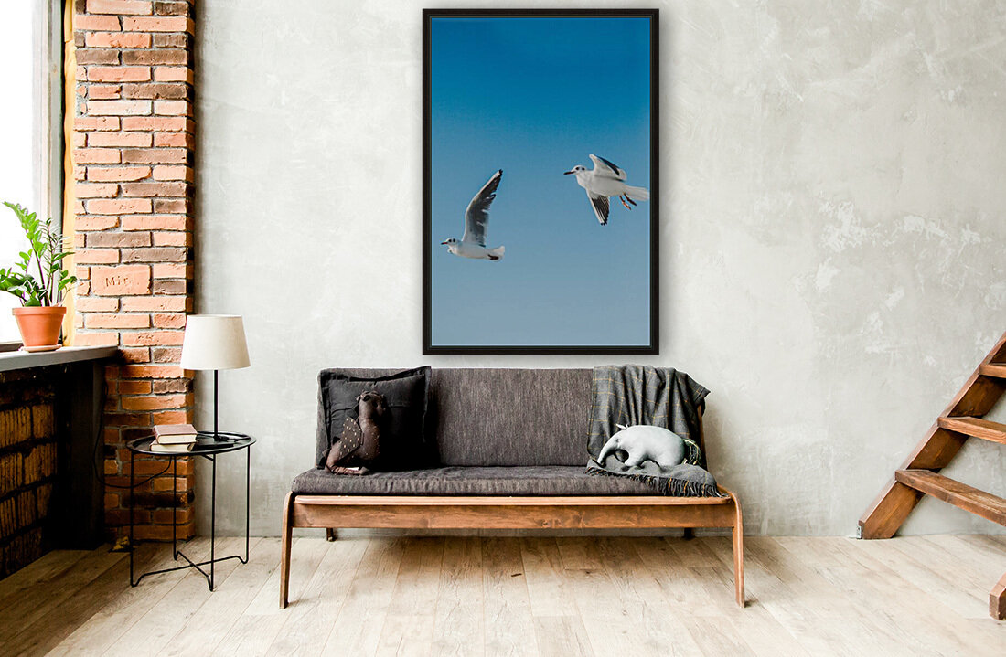 Birds fly high Reproduction
