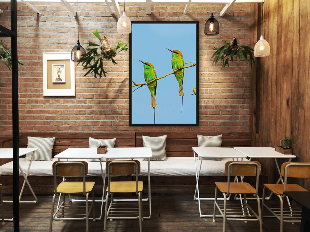 Birds plan things Reproduction