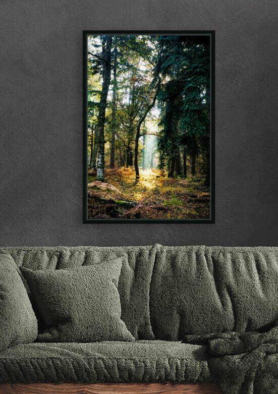 The forest where pine needles hurt my feet by Reg Bender