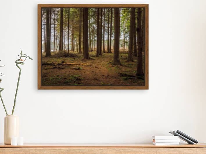 The forest where men meet me by Reg Bender
