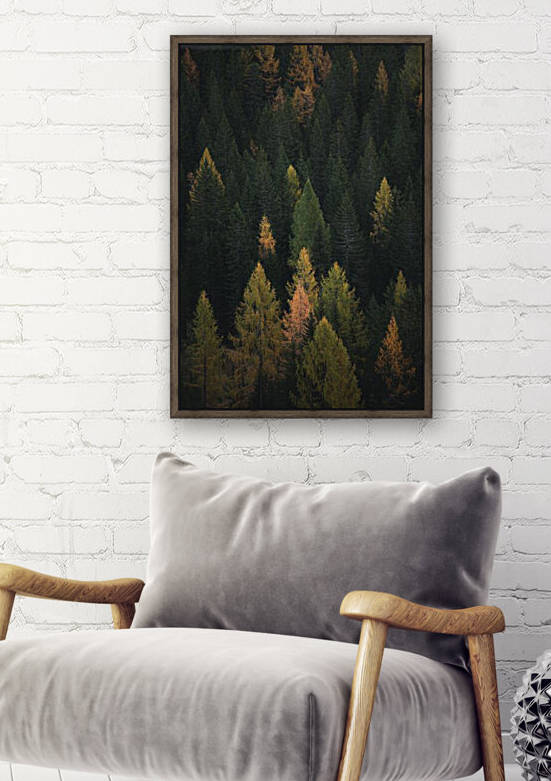 The forest where small animals live by Reg Bender