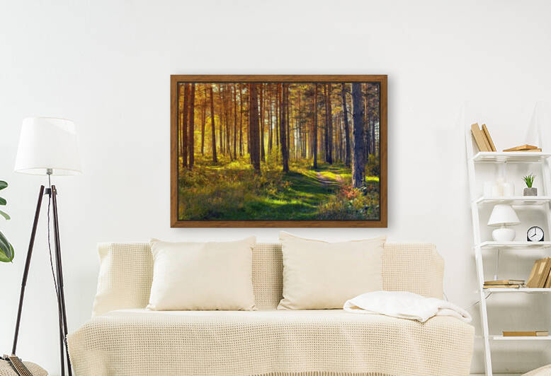 The forest where I got loaded by Reg Bender