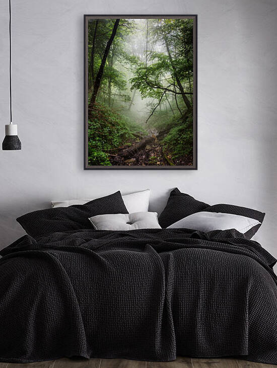 The forest where it happened by Reg Bender
