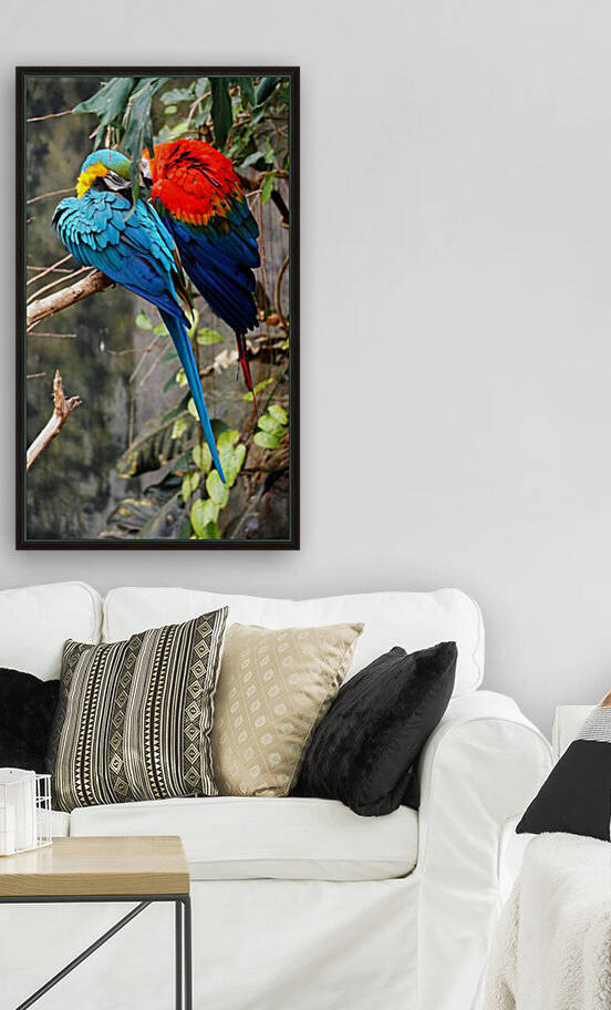 Birds at rest by Reg Bender