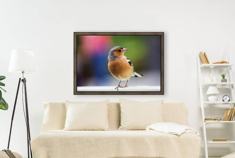 Birds can be alone today by Reg Bender