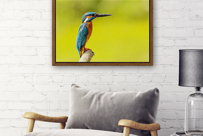 Birds are alone in this world by Reg Bender