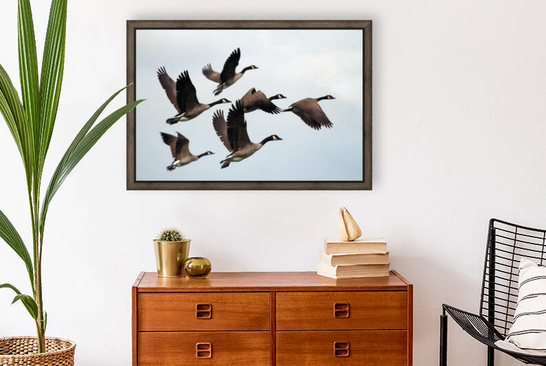 Birds fly south by Reg Bender