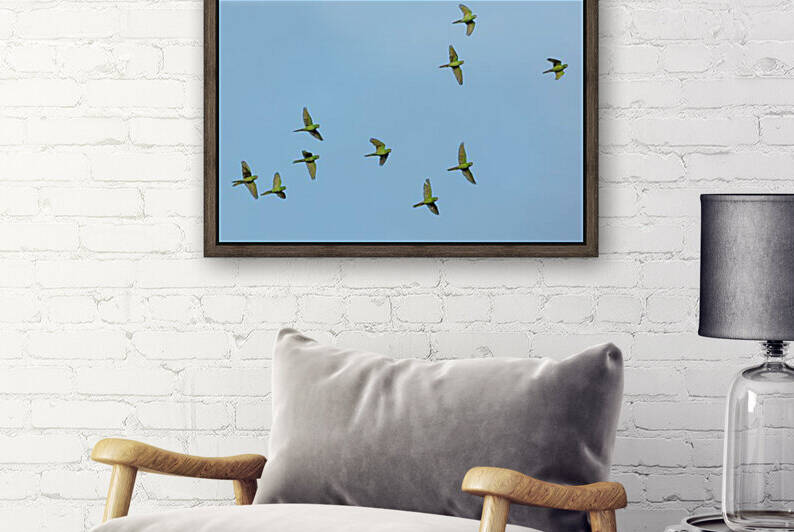 Birds flock too by Reg Bender