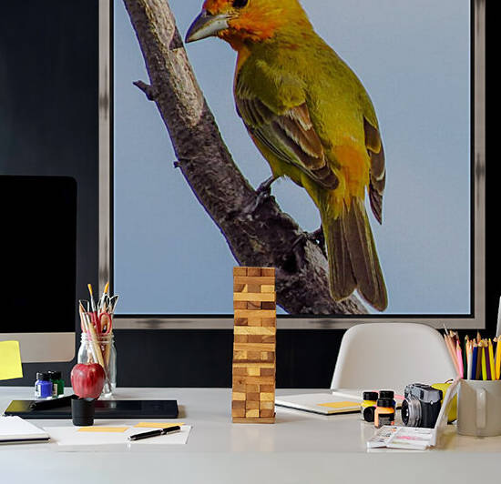 Birds peck things by Reg Bender
