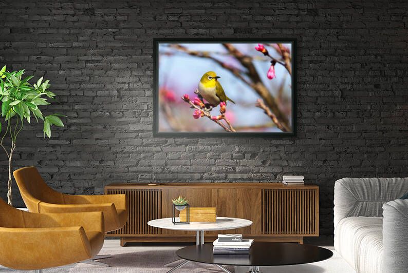Birds eat plants too by Reg Bender