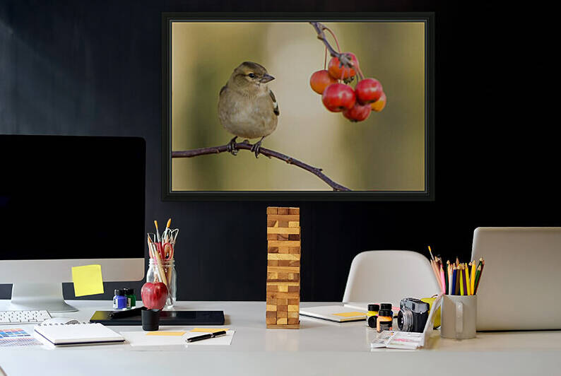 birds regret nothing Reproduction