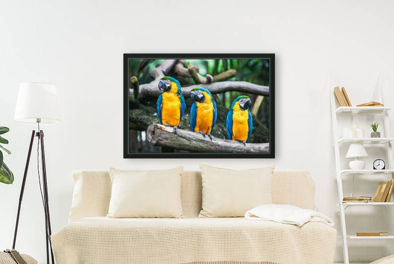 Birds are three by Reg Bender