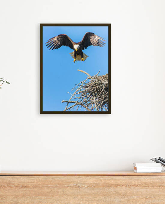 Birds are tireless by Reg Bender