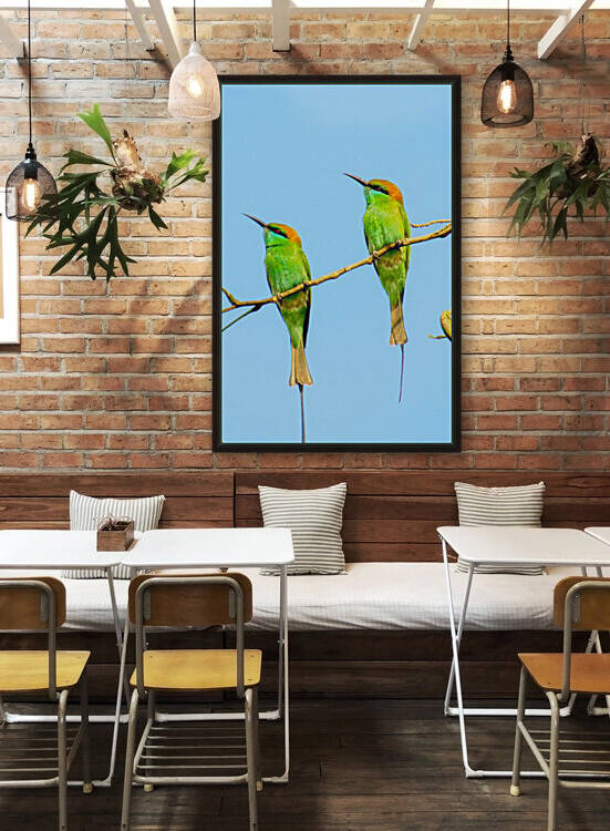 Birds plan things by Reg Bender