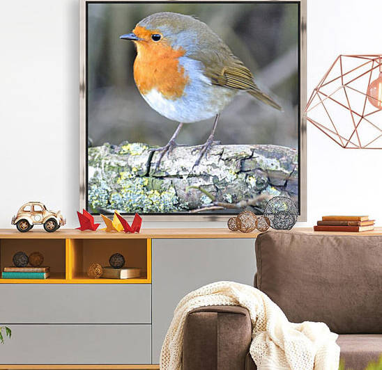 birds are alone here by Reg Bender