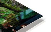 waterfalls create joy HD Metal print