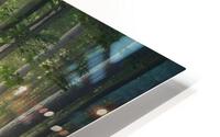 f19 HD Metal print