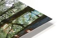 f3 HD Metal print