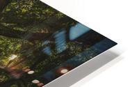 f20 HD Metal print