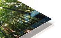 f23 HD Metal print