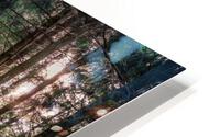 f12 HD Metal print
