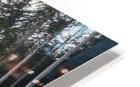 f27 HD Metal print