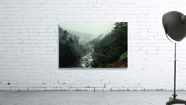 Rapids divide us Wall Preview