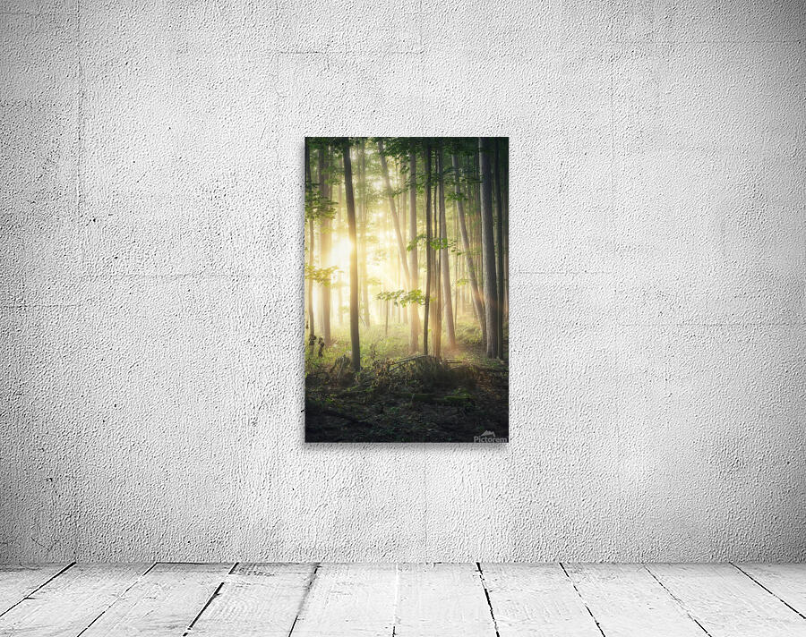 f19 Wall Preview