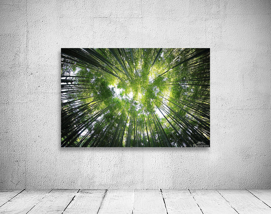 f23 Wall Preview