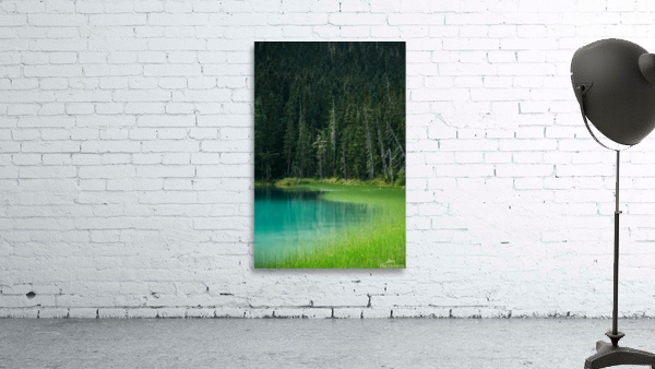 f10 Wall Preview