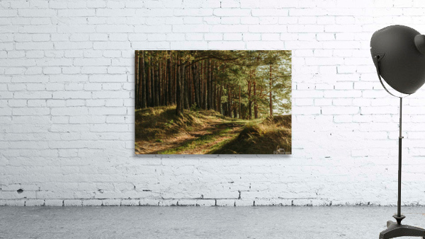 f18 Wall Preview