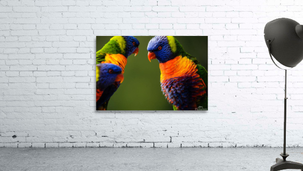 Birds are creative Wall Preview