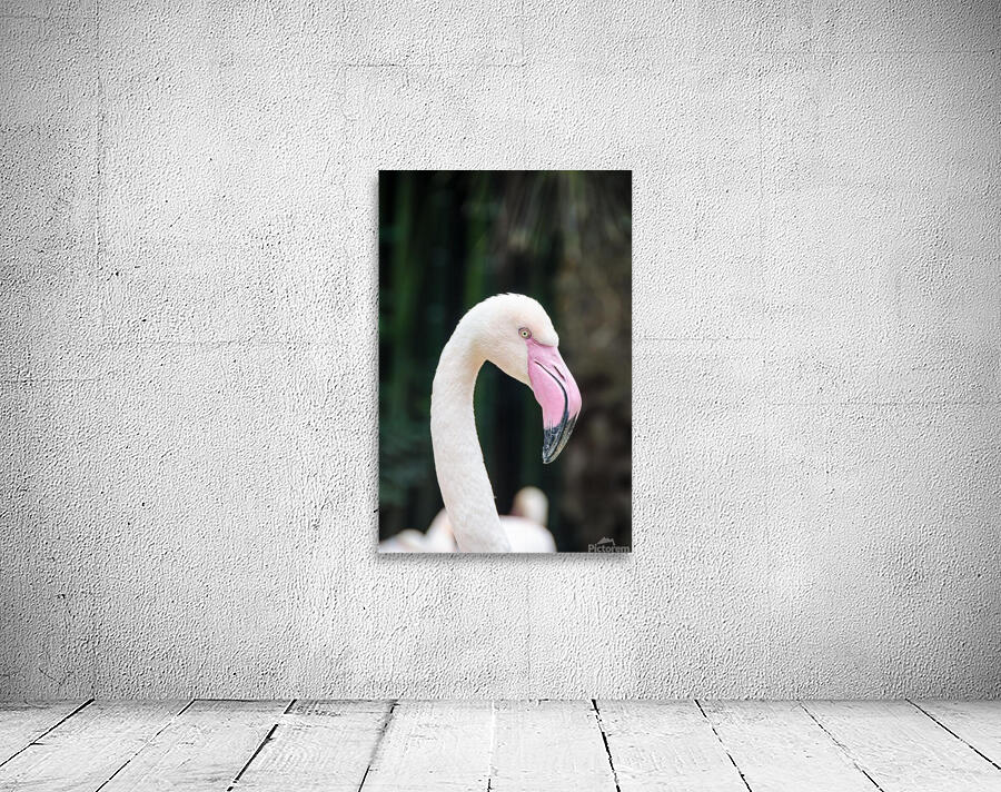 Birds are white Wall Preview